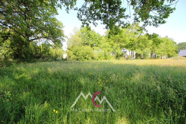 Offres de vente Terrain à batir Sainte-Anne-sur-Brivet 44160