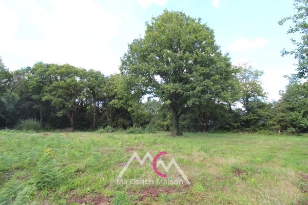 Offres de vente Terrain à batir Guenrouet 44530