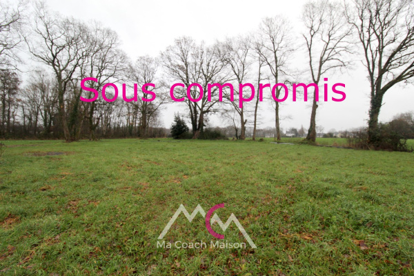 Offres de vente Terrain à batir Sainte-Anne-sur-Brivet 44160