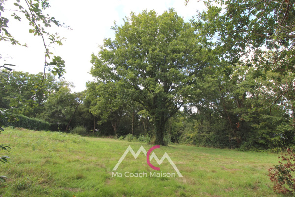 Offres de vente Terrain à batir Guenrouet 44530